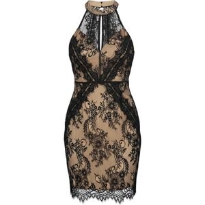 ASTR The Label Size S Black Nude Lace Open Back Bodycon Cocktail Dress